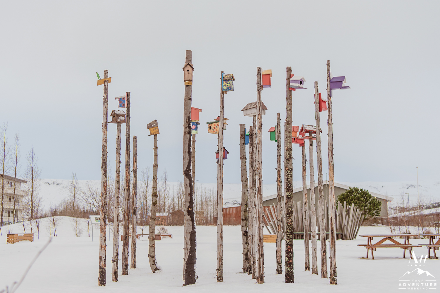 Iceland Proposal Photographer-Iceland Wedding Planner-33